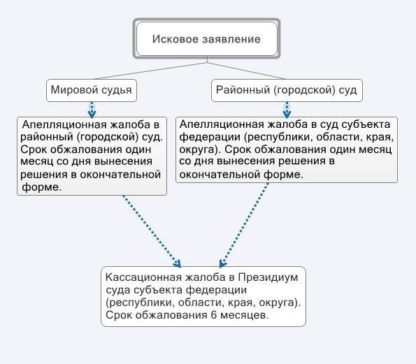 Как апелляционные суды пересматривают судебные решения по уголовным делам