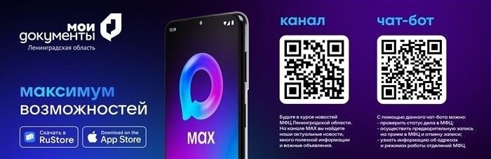 Проверка статуса получения гражданства усыновленным ребенком через МФЦ