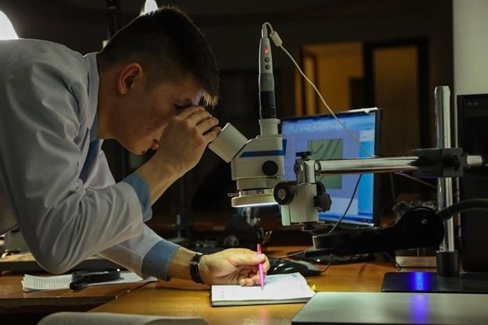 Результат исследования и оформление заключения: ключевые моменты