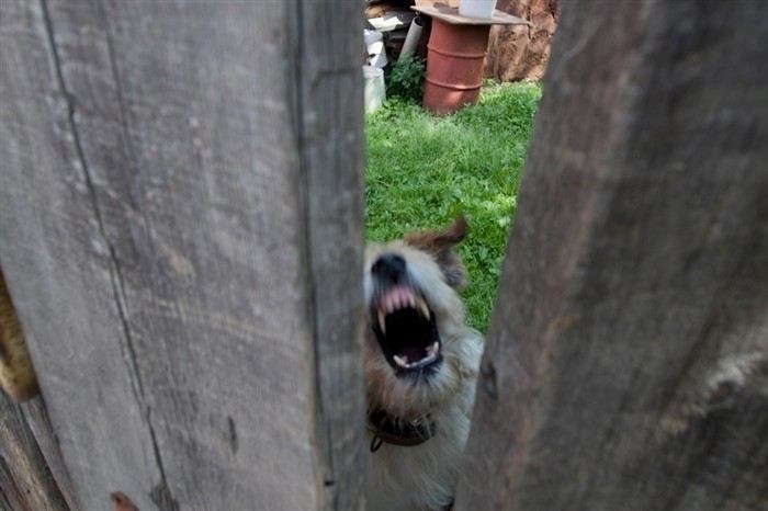 Когда и как можно оспорить плату за частный сервитут через суд