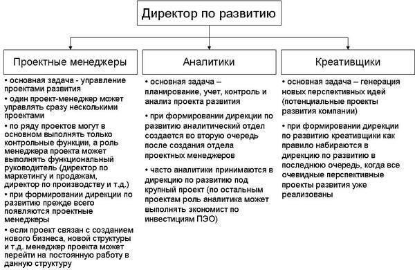 Конкретные роли и обязанности директора по образованию