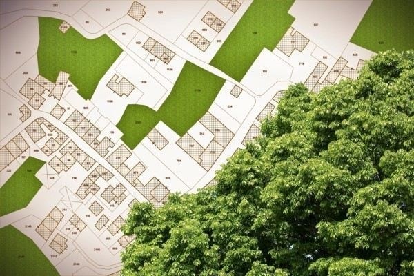 Сколько стоит межевание земельного участка в 2026 году