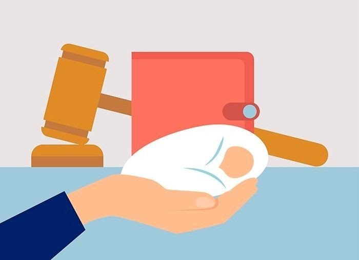 Практика рассмотрения алиментных споров в судебной практике ВС