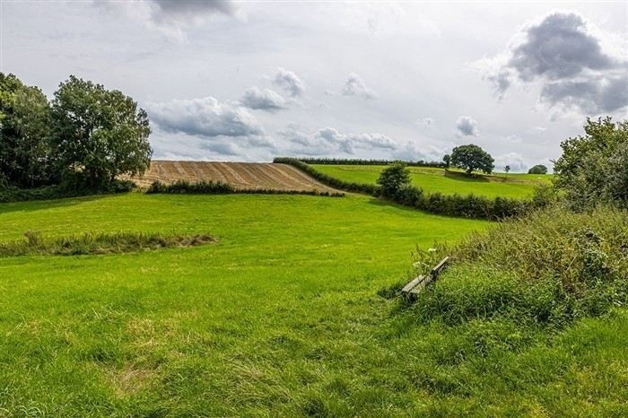 Процедура установления сервитута через суд: Пошаговый процесс