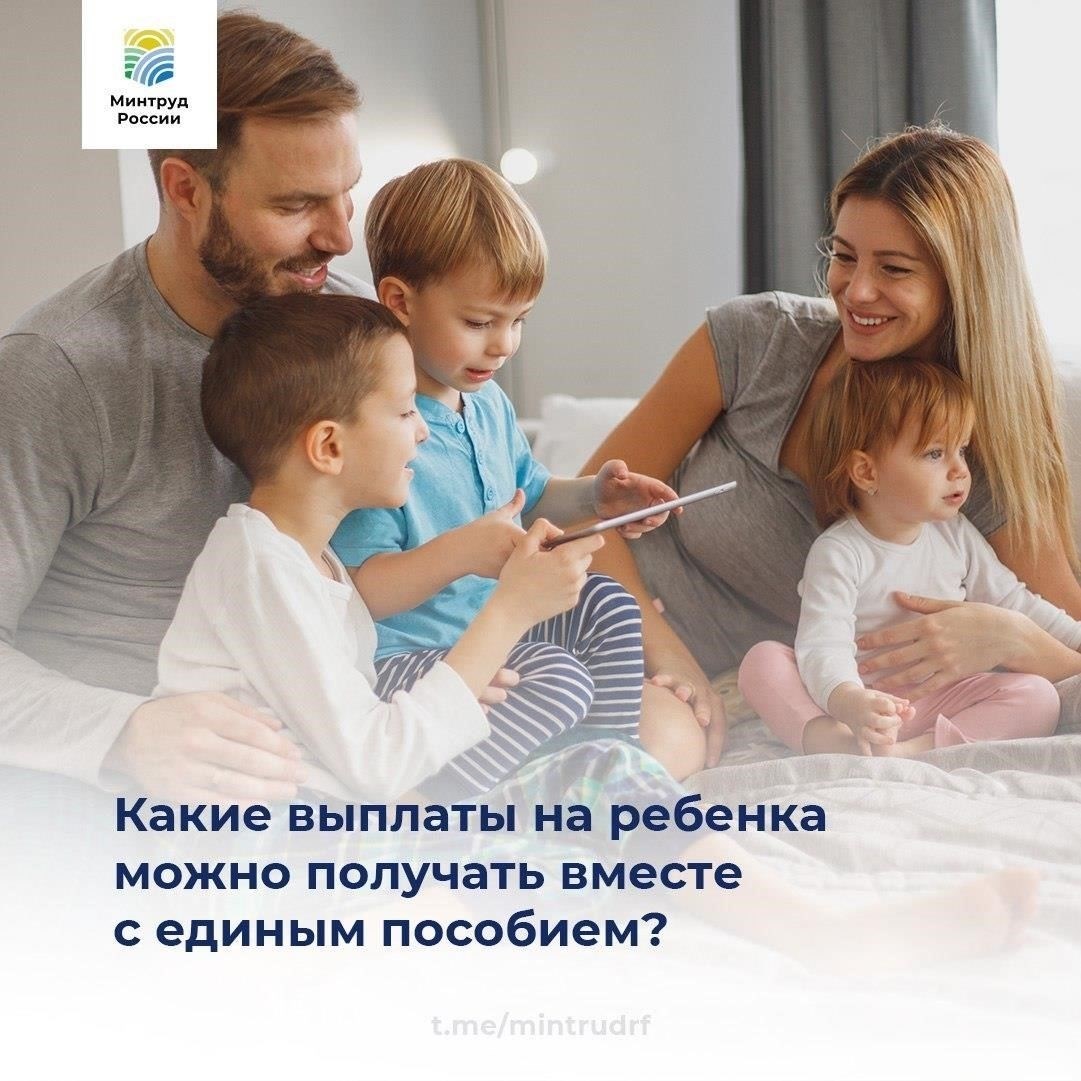Сумма, которую могут получить семьи, варьируется, в среднем от 50 000 до 200 000 рублей в зависимости от региона. Некоторые регионы предлагают более высокие суммы для молодых семей с более чем тремя детьми. Выплаты часто предоставляются при соблюдении следующих условий: постоянная прописка в регионе, подтверждение финансовой нуждаемости и участие в государственных программах для многодетных семей. Семьи могут обратиться за помощью лично, но длинные очереди могут затянуть процесс. Также могут быть оговорены сроки получения денег, а в некоторых случаях заявление может быть отклонено из-за невыполнения определенных требований.